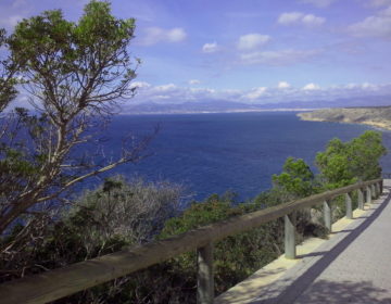 Winter adé, Mallorca olé.. na Danke!